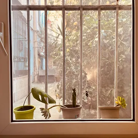 Apartment Il Buon Vento Naples